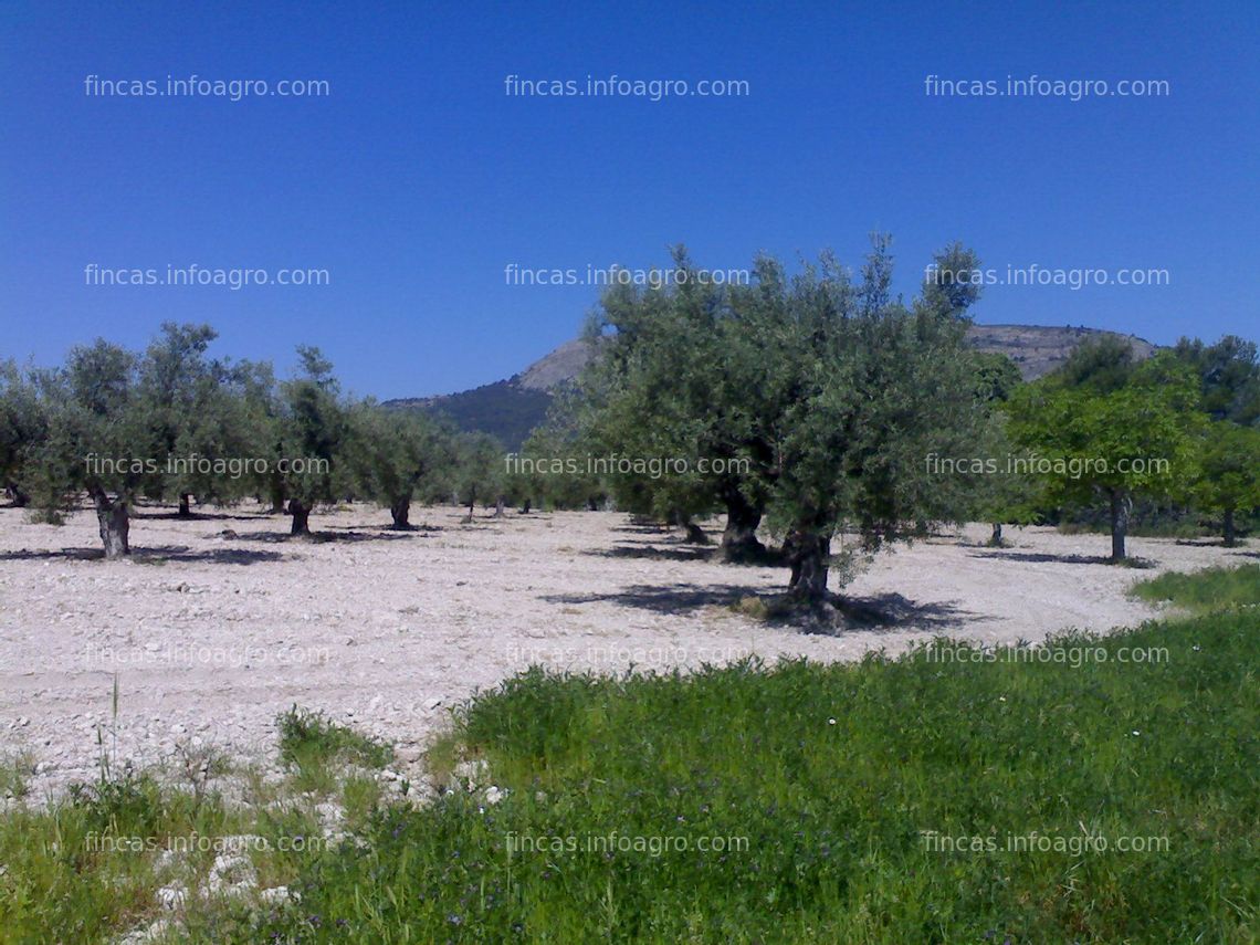 Fotos de En venta  Finca 289 ha montaña de Alicante