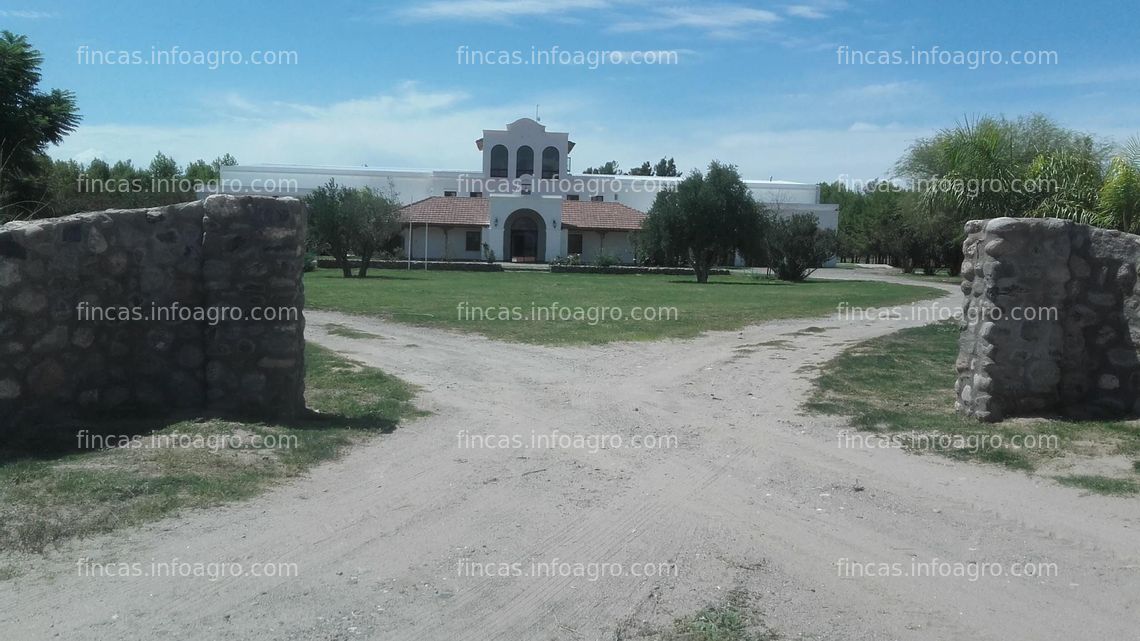 Fotos de En venta  800 has de olivar y almazara en Poman, Catamarca, Argentina