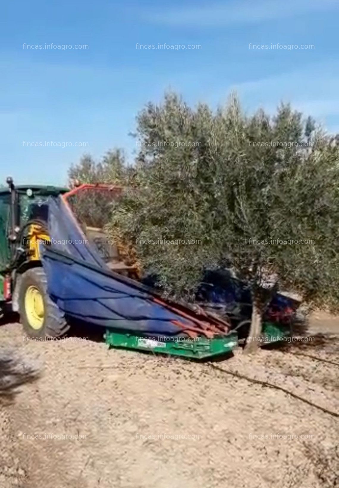 Fotos de A la venta Parcela rústica con olivos