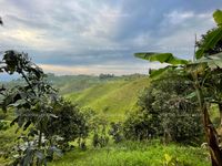 Fotos de Se vende Finca para ganado en filandia