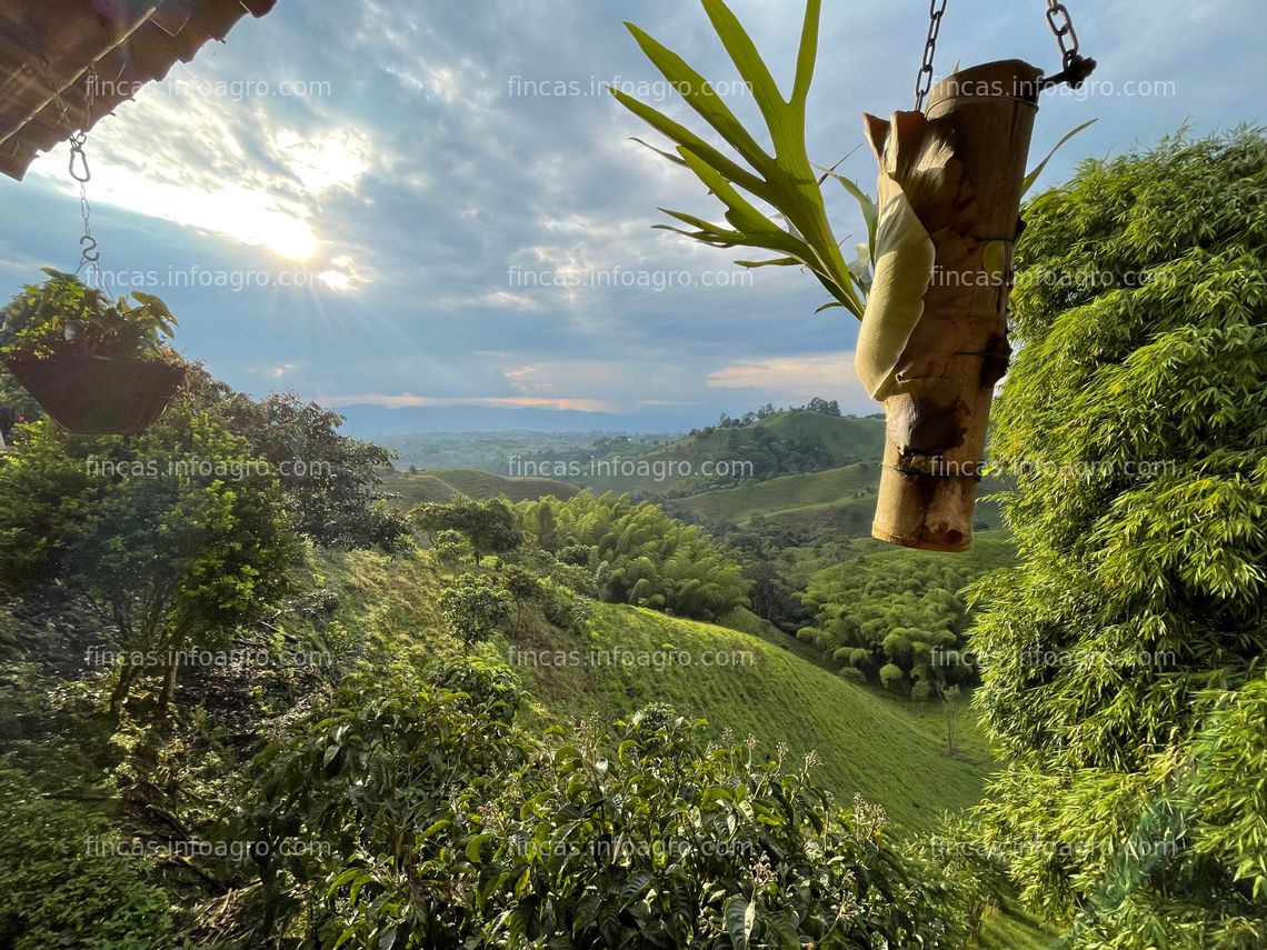 Fotos de Se vende Finca para ganado en filandia