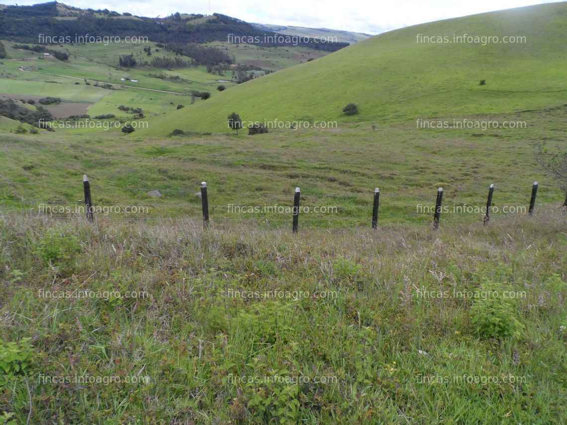 Fotos de En venta  finca en chocontá, cundinamarca