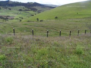 En venta  finca en chocontá, cundinamarca