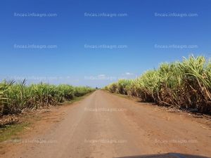 En venta  FINCAS GANADERAS,  CON PALMA AFRICANA Y CAÑERAS Y UNA CAMARONERA