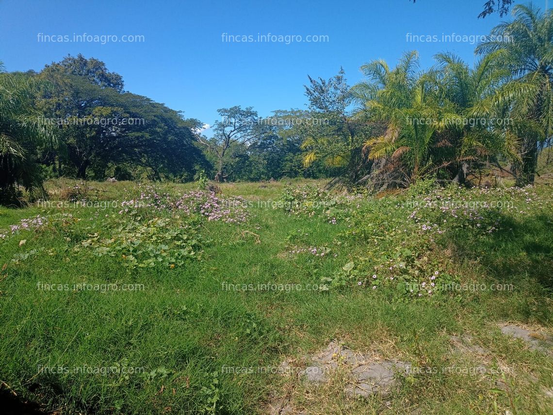 Fotos de En venta  FINCAS GANADERAS,  CON PALMA AFRICANA Y CAÑERAS Y UNA CAMARONERA