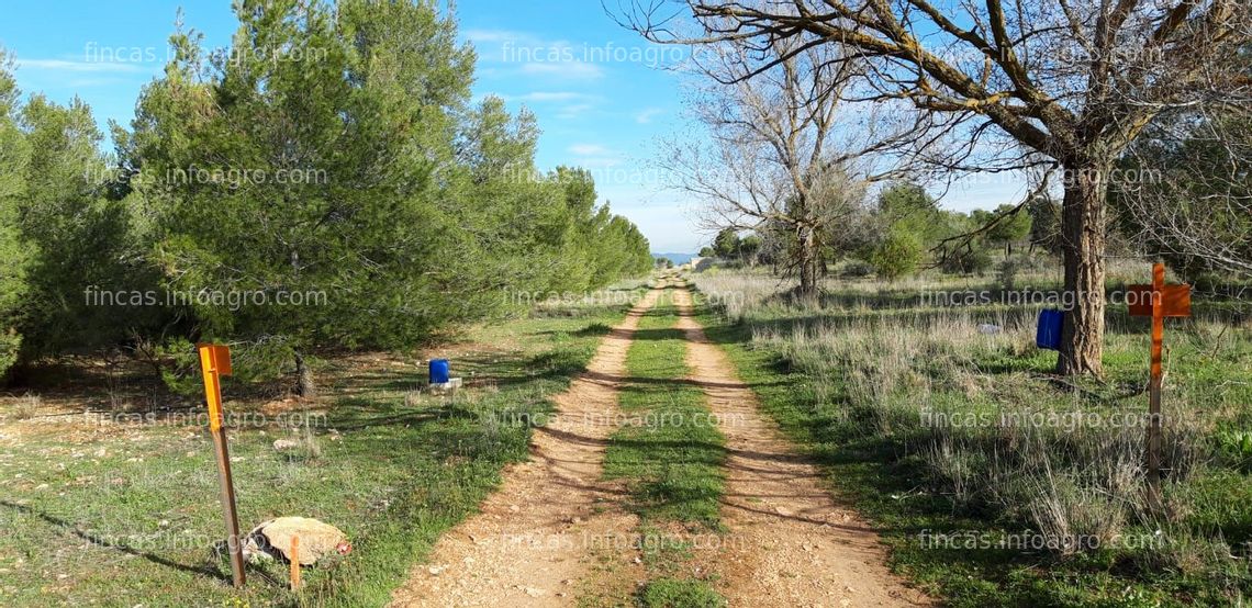 Fotos de A la venta parcela 12,3 ha ( agua )