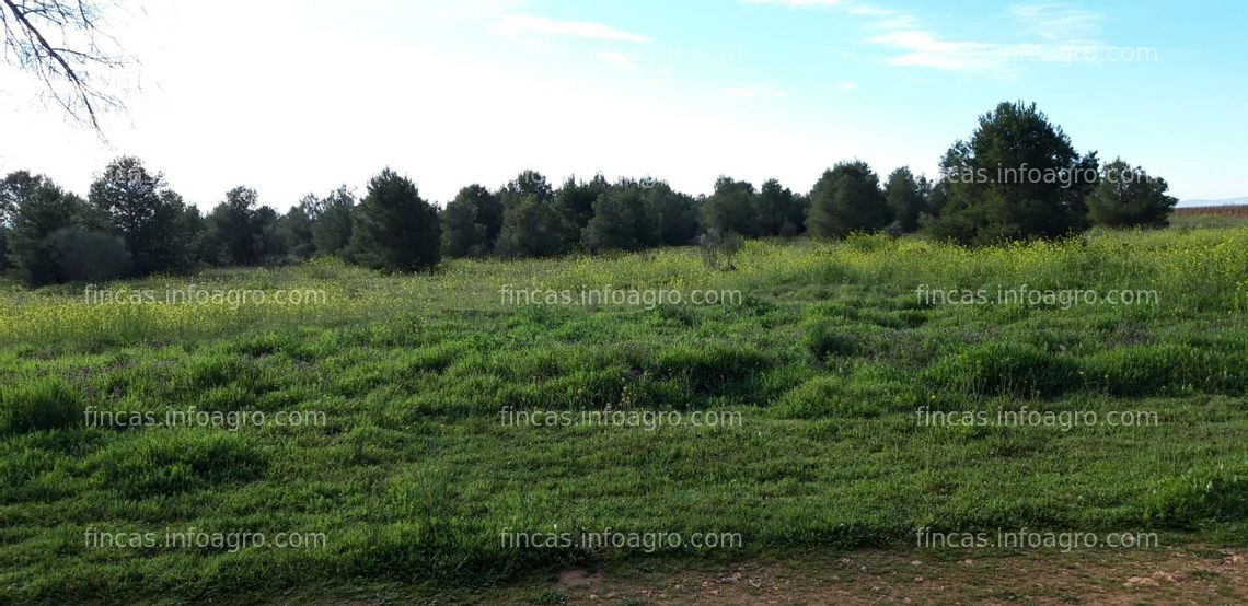 Fotos de A la venta parcela 9,2 ha ( agua )