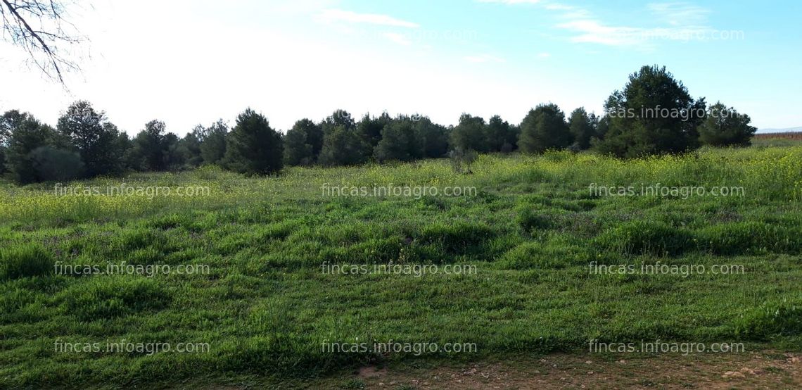 Fotos de Se vende parcela 12,3 ha ( agua )