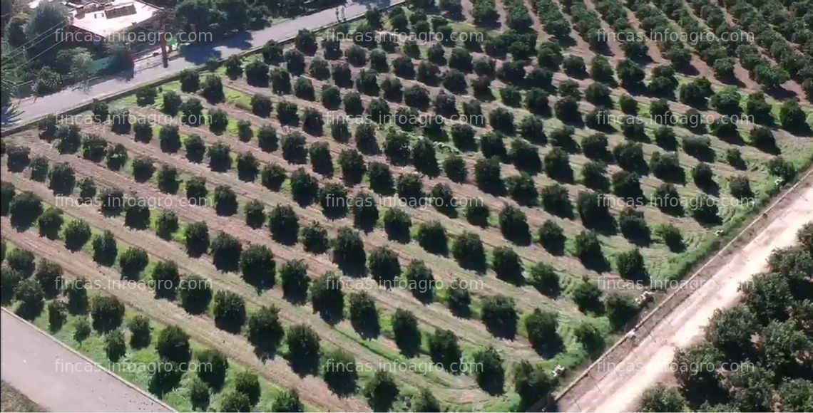 Fotos de Se vende Parcela rústica con derechos de Pago Unico