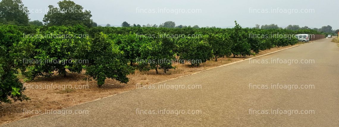 Fotos de Se vende Parcela rústica con derechos de Pago Unico