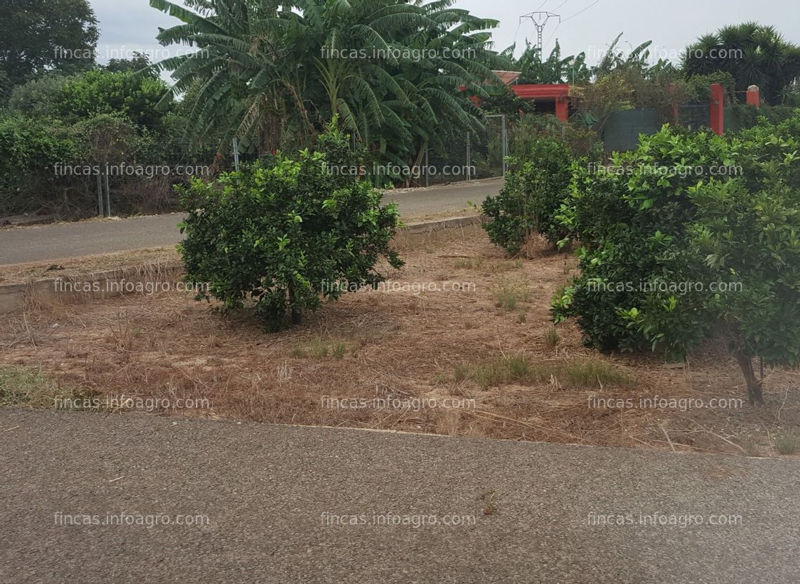 Fotos de Se vende Parcela rústica con derechos de Pago Unico