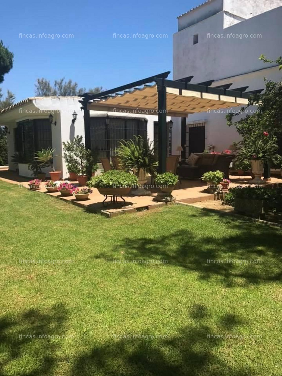 Fotos de A la venta FINCA RUSTICA REGADIO Y CON CABALLERIZAS