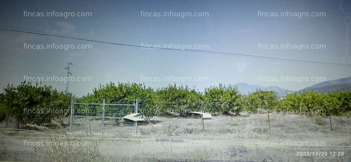 Fotos de Se vende Pacela rustica con cortijo, limones y almendros