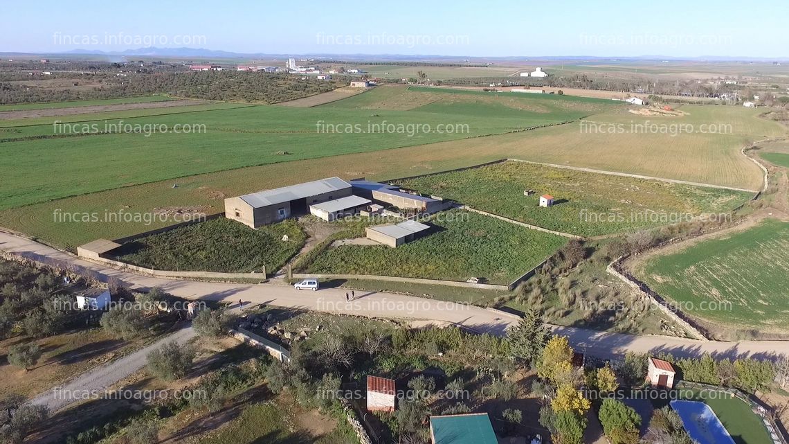 Fotos de A la venta Finca con explotación ganadera en Llerena.