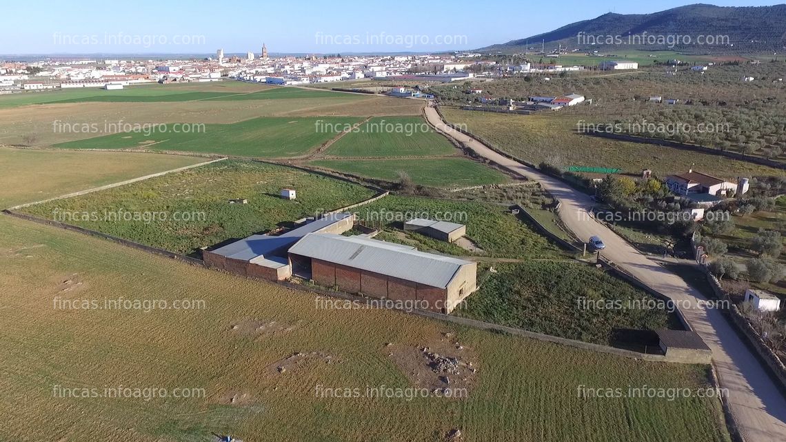 Fotos de A la venta Finca con explotación ganadera en Llerena.