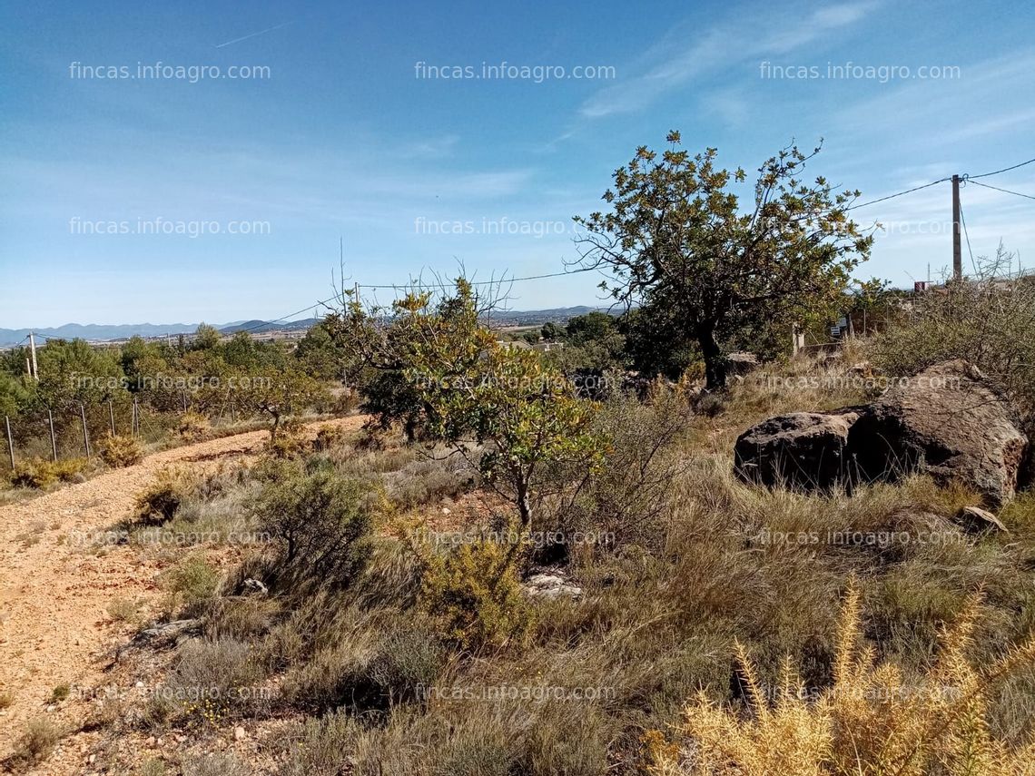 Fotos de Se vende Parcela rústica en venta