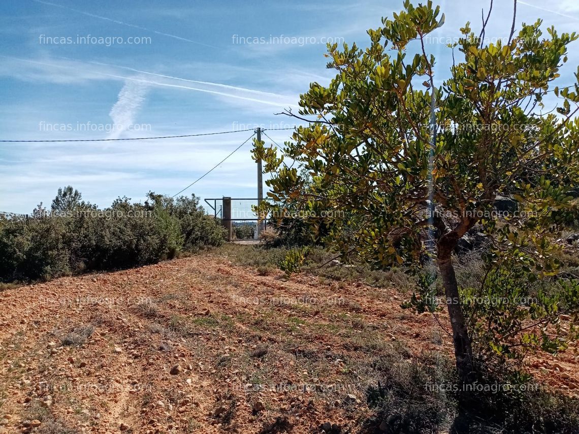 Fotos de Se vende Parcela rústica en venta