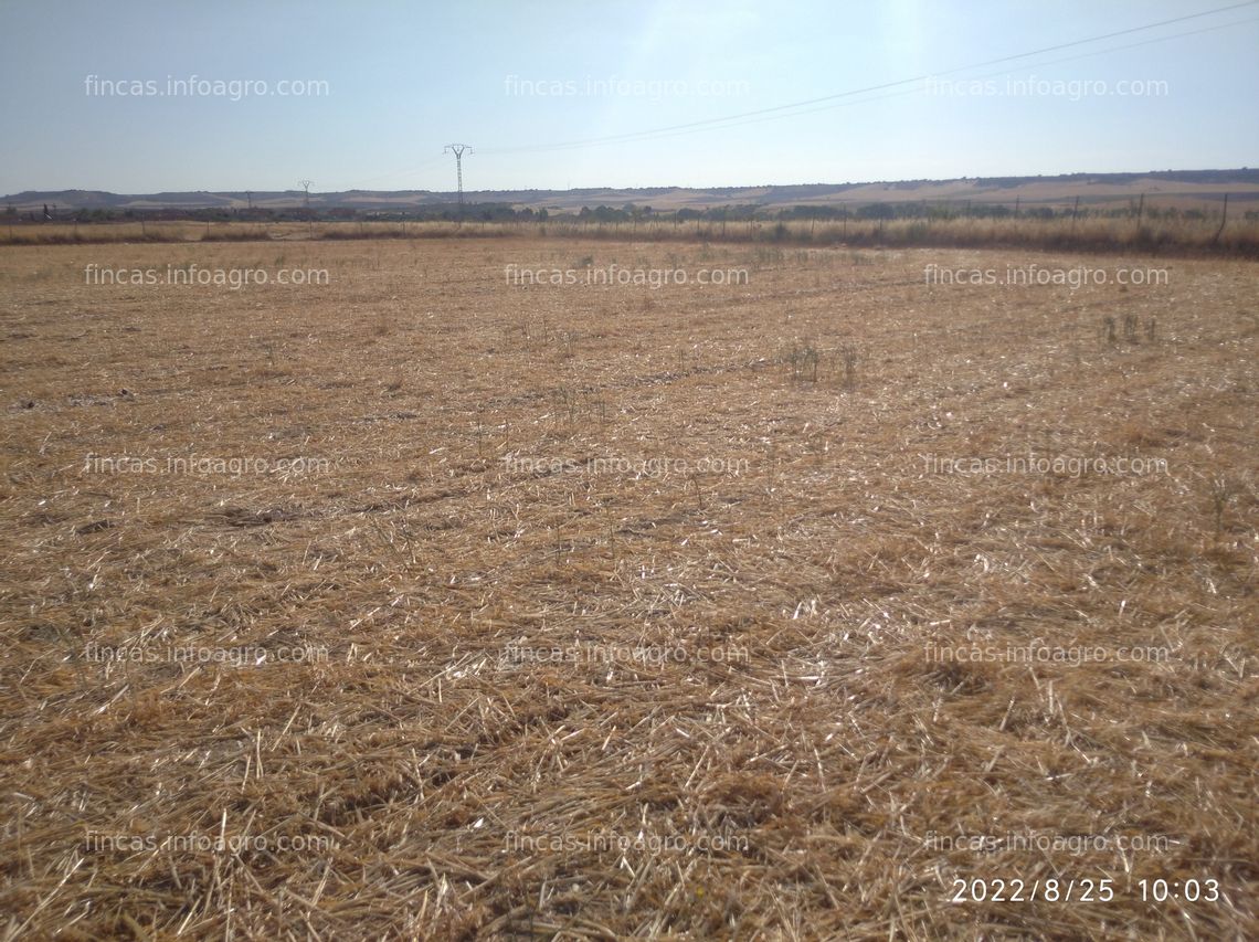 Fotos de A la venta parcela 5.4 hectáreas en Galápagos, Guadalajara 