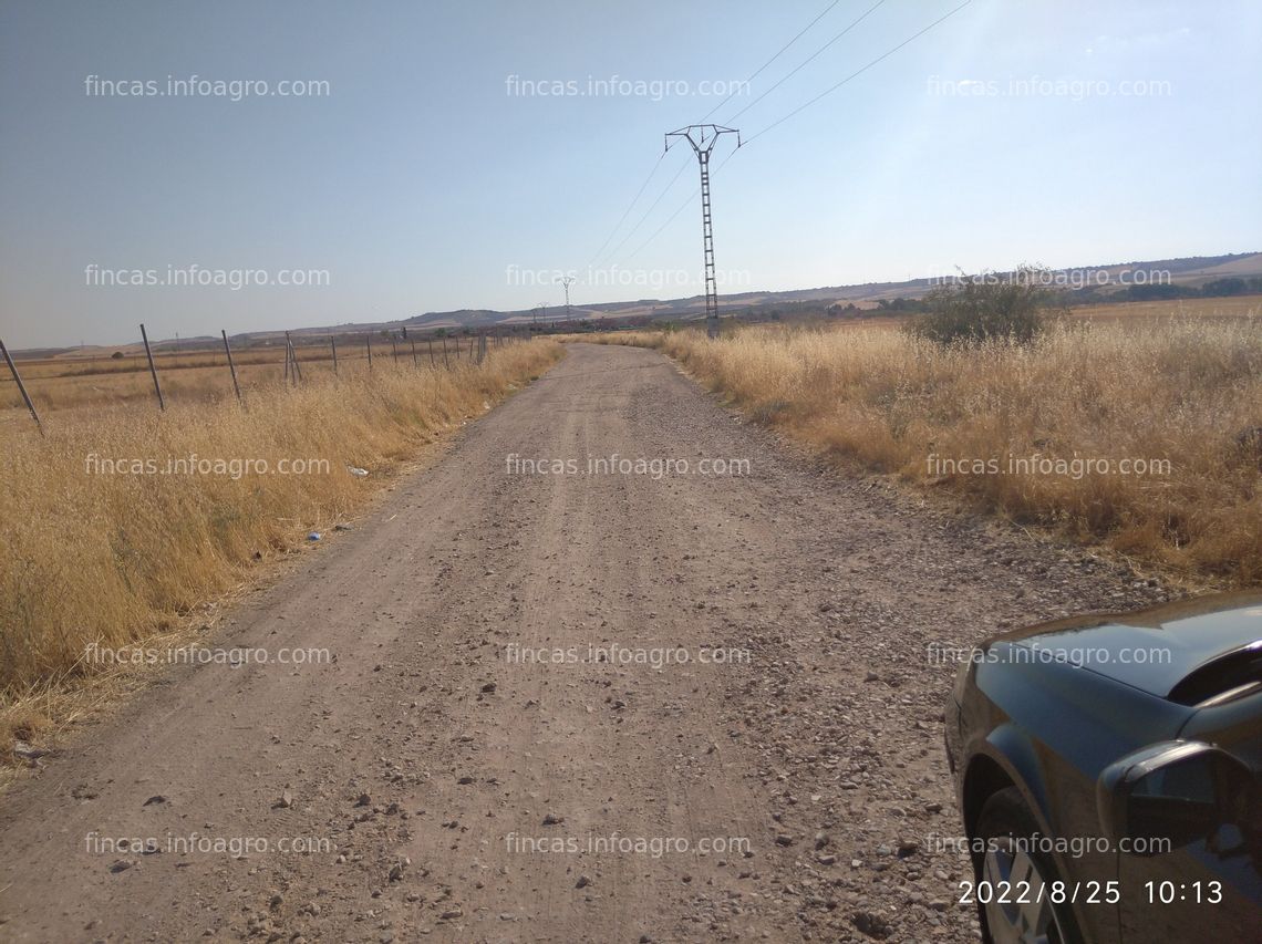 Fotos de A la venta parcela 5.4 hectáreas en Galápagos, Guadalajara 