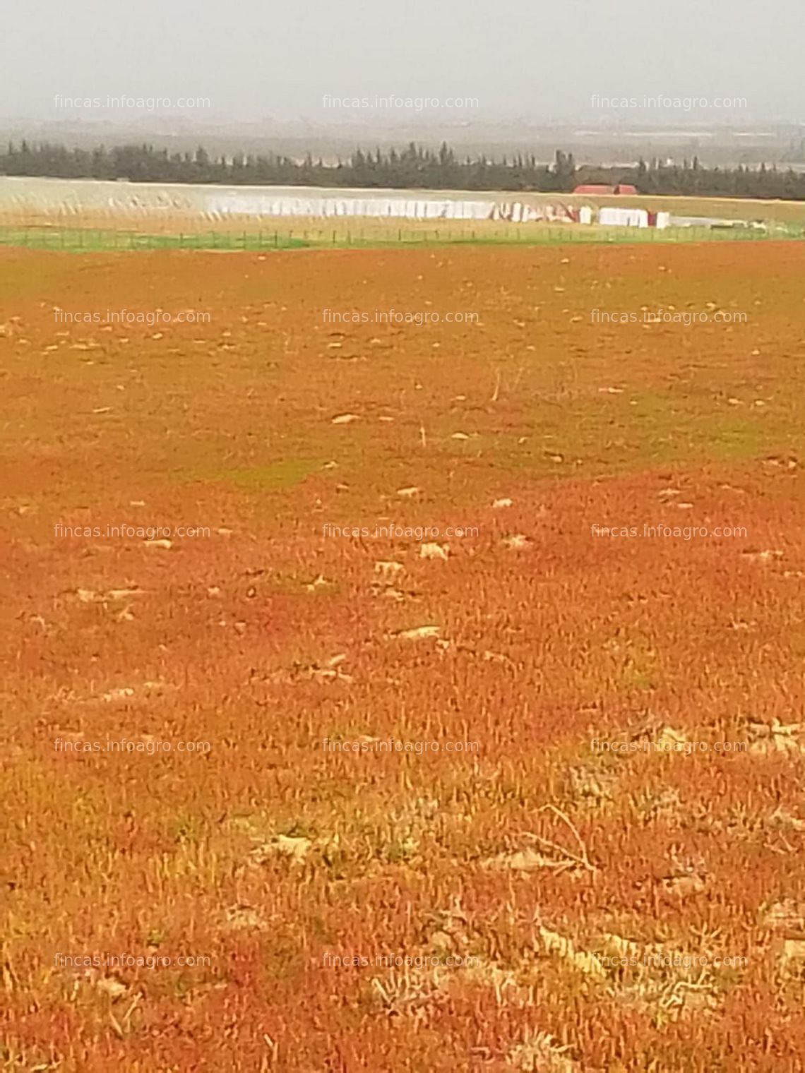 Fotos de Se vende Terreno agrícola Marruecos 