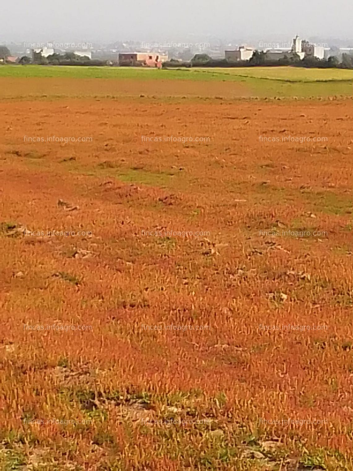 Fotos de Se vende Terreno agrícola Marruecos 