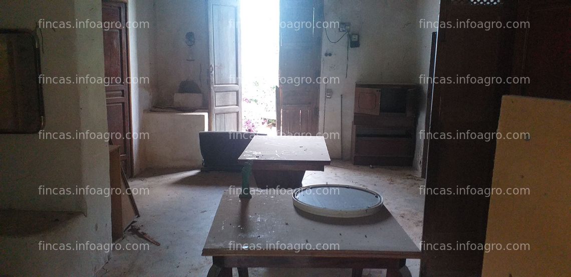 Fotos de En venta  finca rústica con casa para reformar en Crevillente (Alicante)