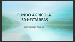 A la venta fundo agrícola Pisco - Santa María