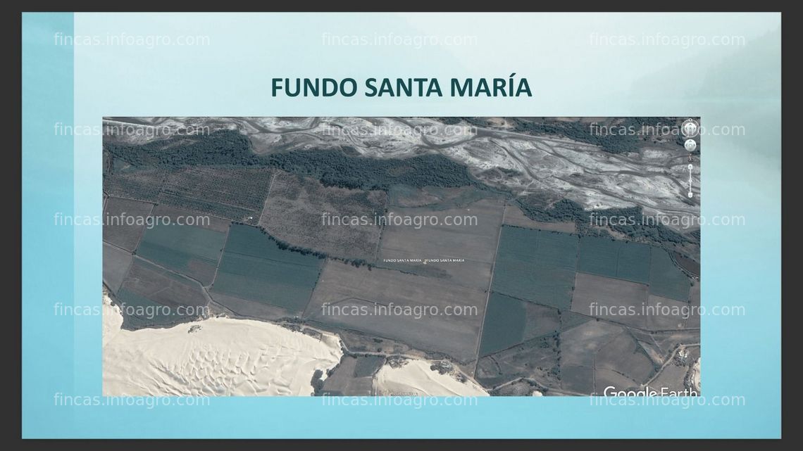 Fotos de A la venta fundo agrícola Pisco - Santa María