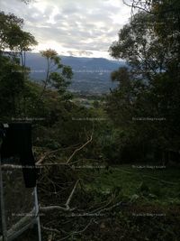 Fotos de A la venta lote