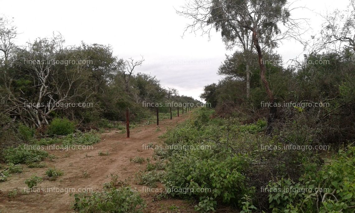Fotos de A la venta Farm for sale in Formosa, Argentina