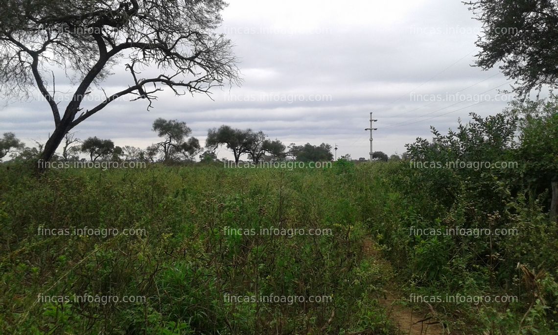 Fotos de A la venta Farm for sale in Formosa, Argentina