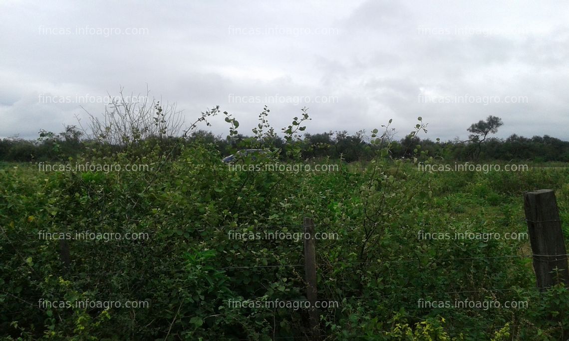 Fotos de A la venta Farm for sale in Formosa, Argentina