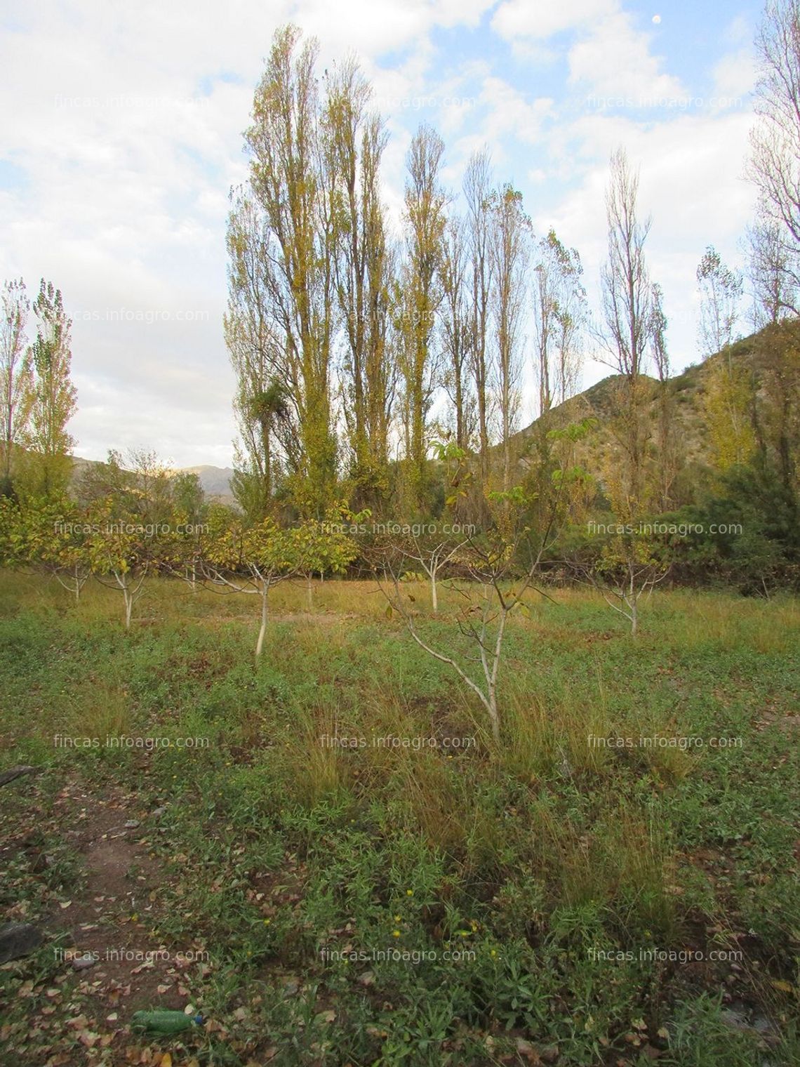 Fotos de En venta  Farm of 80.000 hectares at La Rioja, Argentina