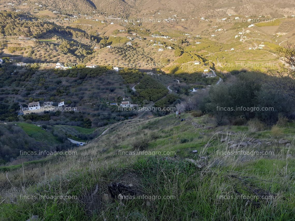 Fotos de Se vende Parcela de regadio en Frigiliana