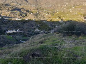 Se vende Parcela de regadio en Frigiliana