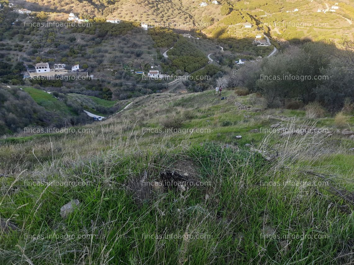 Fotos de Se vende Parcela de regadio en Frigiliana