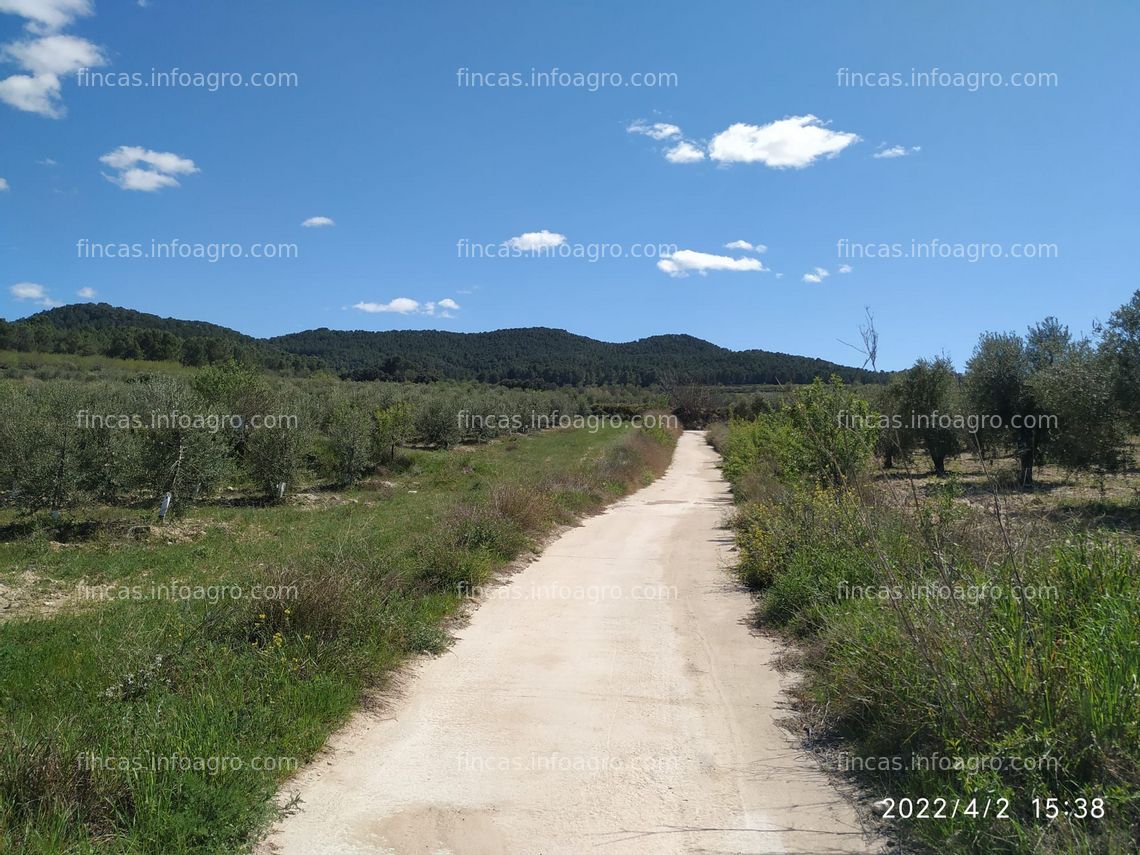 Fotos de En venta  Casa en finca de 32 has con olivos, viñedos y almendros