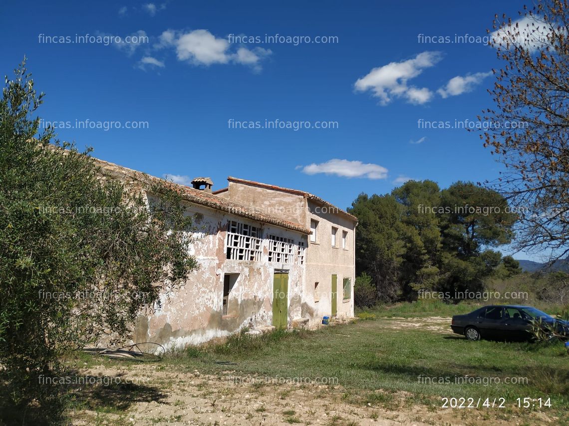 Fotos de En venta  Casa en finca de 32 has con olivos, viñedos y almendros