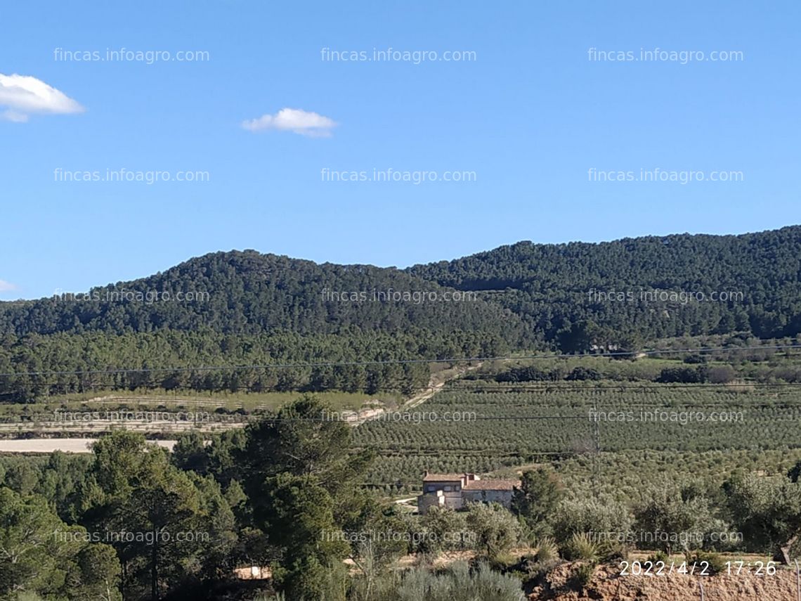 Fotos de En venta  Casa en finca de 32 has con olivos, viñedos y almendros