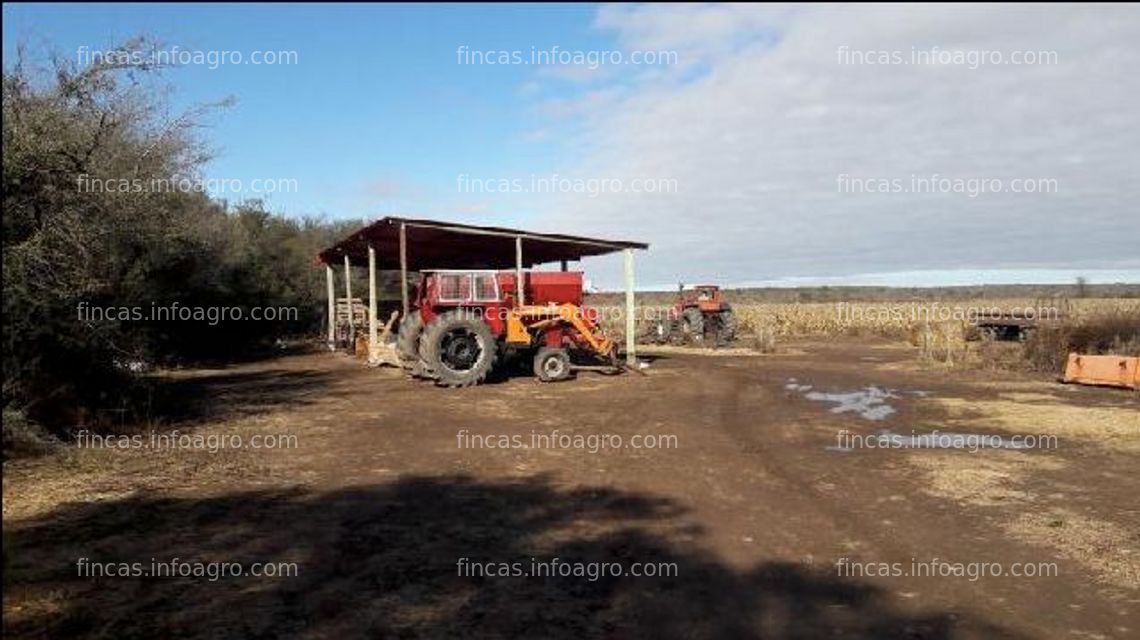 Fotos de En venta  3.170 Has. en la provincia de San Luis en Argentina