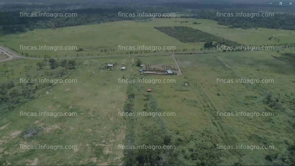 Fotos de En venta  Terreno Rural de 87 hectáreas en Puerto Maldonado