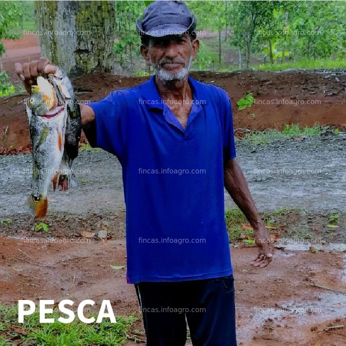 Fotos de Vendo Fincas Tituladas y Segregadas desde $25mil Pago en 25 meses SIN INTERES.