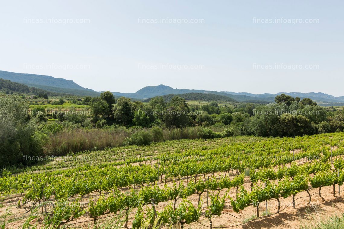 Fotos de A la venta Masia rural con viñedo en el Priorat, Tarragona