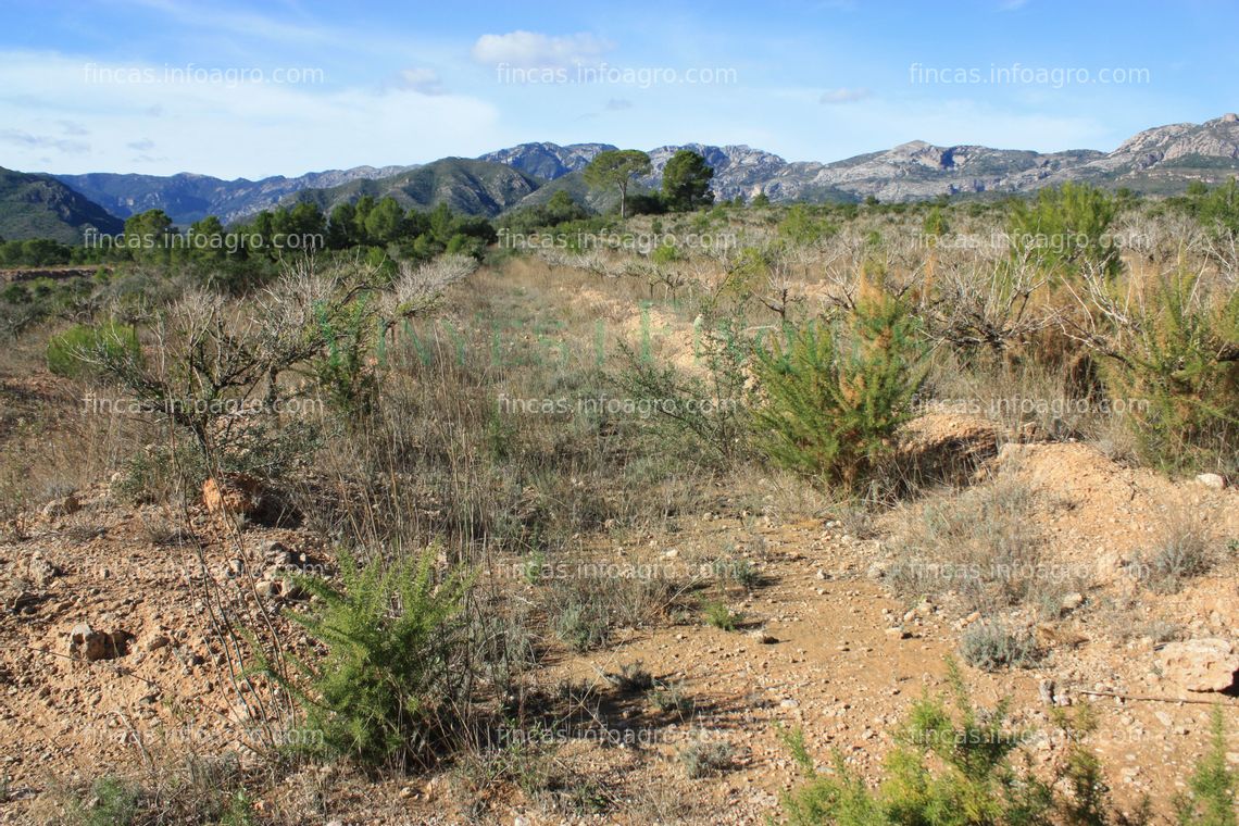 Fotos de Se vende Finca agrícola con sistema de riego en Tarragona.