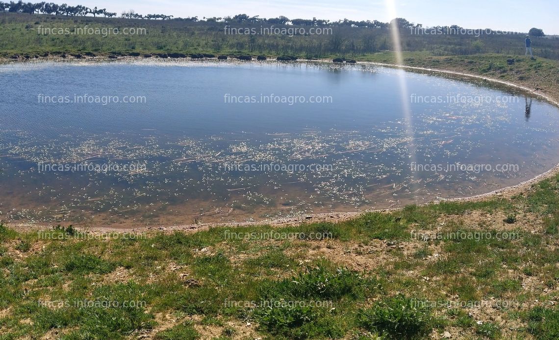 Fotos de Se vende 90 hectáreas de pastos con monte