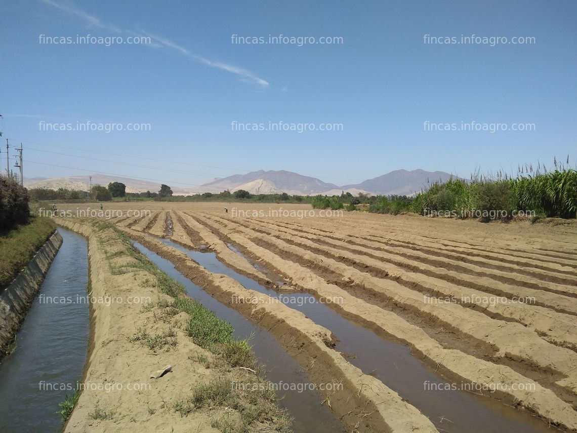 Fotos de Se vende terreno agrícola Nepeña (Huaraico Alto/Santa/Ancash a 500 metros de la Municipalidad de Nepeña)