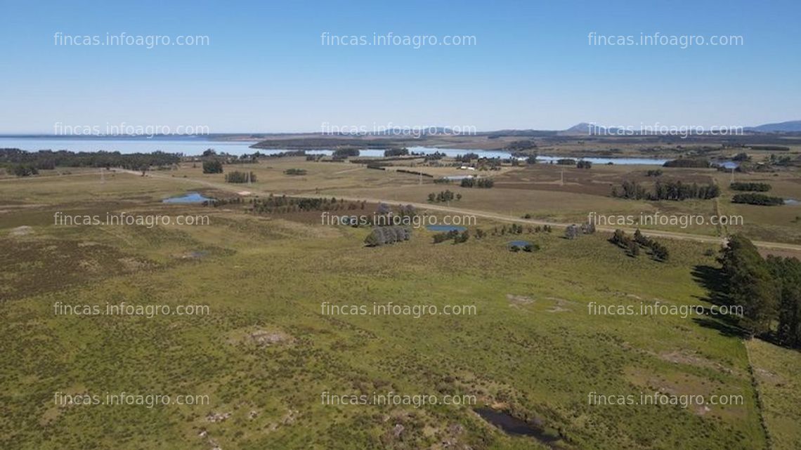 Fotos de Vendo chacra en Punta del Este 15 hectáreas Laguna del Sauce.