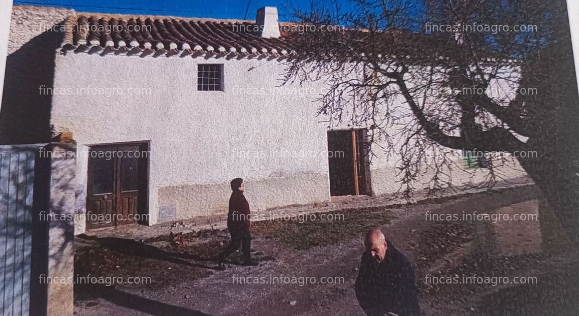 Fotos de A la venta finca rústica de almendros, regadío y casa de 300 metros cuadrados.