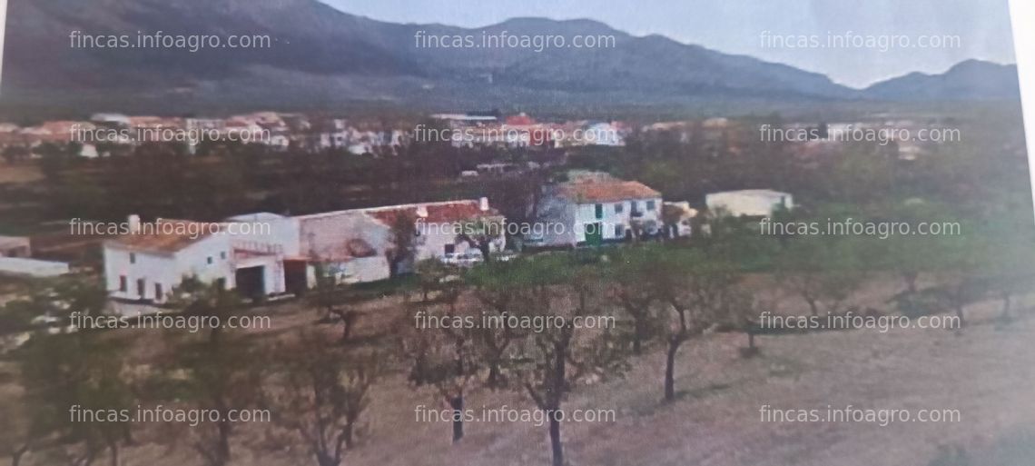 Fotos de A la venta finca rústica de almendros, regadío y casa de 300 metros cuadrados.