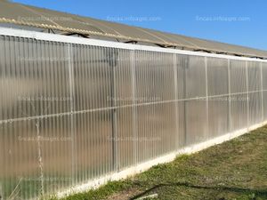 A la venta  INVERNADEROS ULMA !!! GRAN OPORTUNIDAD!!